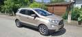 Ford EcoSport 1,0 EcoBoost Titanium Aut. - thumbnail 17