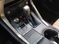 Lexus NX 300 300h Executive Navigation 4WD Blauw - thumbnail 13