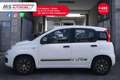Fiat Panda FIAT Panda 1.2 EasyPower Lounge 51KW ANNO 2014 Bianco - thumbnail 4