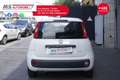Fiat Panda FIAT Panda 1.2 EasyPower Lounge 51KW ANNO 2014 Bianco - thumbnail 7
