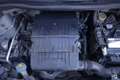 Fiat Panda FIAT Panda 1.2 EasyPower Lounge 51KW ANNO 2014 Bianco - thumbnail 18