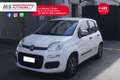 Fiat Panda FIAT Panda 1.2 EasyPower Lounge 51KW ANNO 2014 Bianco - thumbnail 11