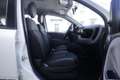 Fiat Panda FIAT Panda 1.2 EasyPower Lounge 51KW ANNO 2014 Bianco - thumbnail 10