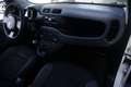 Fiat Panda FIAT Panda 1.2 EasyPower Lounge 51KW ANNO 2014 Bianco - thumbnail 8
