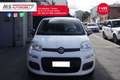Fiat Panda FIAT Panda 1.2 EasyPower Lounge 51KW ANNO 2014 Bianco - thumbnail 9