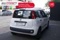 Fiat Panda FIAT Panda 1.2 EasyPower Lounge 51KW ANNO 2014 Bianco - thumbnail 13
