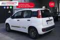 Fiat Panda FIAT Panda 1.2 EasyPower Lounge 51KW ANNO 2014 Bianco - thumbnail 15