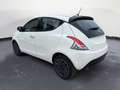 Lancia Ypsilon 1.0 FireFly 5 porte S&S Hybrid Oro Bianco - thumbnail 7