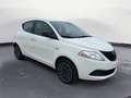 Lancia Ypsilon 1.0 FireFly 5 porte S&S Hybrid Oro Bianco - thumbnail 3