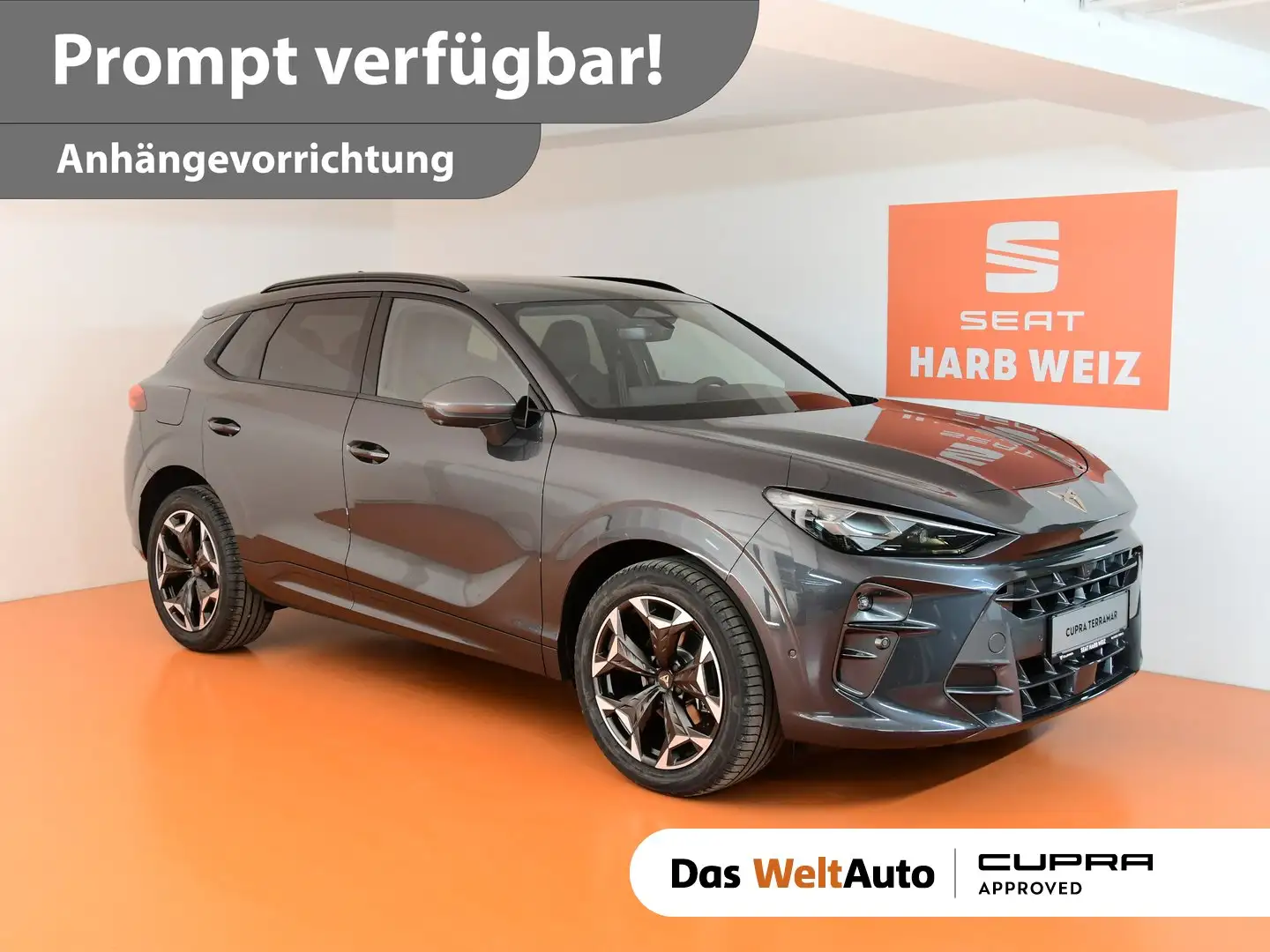 CUPRA Terramar 1.5 e-TSI 150 PS DSG Grau - 1