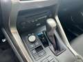 Lexus NX 300h AWD F SPORT LINE Gris - thumbnail 17