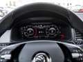 Skoda Kodiaq 2.0 TDI Clever 4x4 DSG AHK 360 PANO ST Grün - thumbnail 11