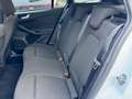 Ford Focus ST-Line, LED, Navi, Virtual, Blisk, Kamera, DAB Weiß - thumbnail 14