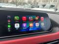 Ora Funky Cat GT Celestial Blue Sitzklima Panorama Allwetter Blau - thumbnail 16