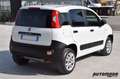 Fiat Panda 0.9 4x4 Van 2 posti White - thumbnail 6