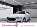 Skoda Octavia Combi 2.0 TDI DSG STYLE NAVI AHK PDC ACC Weiß - thumbnail 1