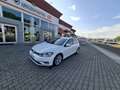 Volkswagen Golf TDI 7.5 bijela - thumbnail 3