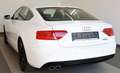 Audi A5 SB 2.0 TDI quattro S Line T.Leder,Navi,Xenon Weiß - thumbnail 8