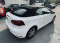 Volkswagen Golf Cabriolet 1.6 CR TDi - thumbnail 8