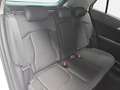 Kia Sportage SPORTAGE 1.6 CRDI DCT 2WD SPIRIT MJ25 DRIVEWISE SO Weiß - thumbnail 19