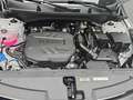 Kia Sportage SPORTAGE 1.6 CRDI DCT 2WD SPIRIT MJ25 DRIVEWISE SO Weiß - thumbnail 16