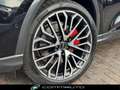 Audi Q5 S line edition TDI quattro S tronic - MY 2025 Noir - thumbnail 12