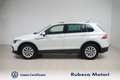 Volkswagen Tiguan 2.0 TDI SCR Life 122CV Bianco - thumbnail 3