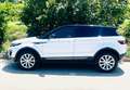 Land Rover Range Rover Evoque 4x4 autom. ultimo restyling bianca tetto nero Wit - thumbnail 1