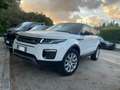 Land Rover Range Rover Evoque 4x4 autom. ultimo restyling bianca tetto nero Bianco - thumbnail 11