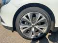 Renault Scenic 1.3 TCe 160 BOSE-Edition PDC BT Blanc - thumbnail 15