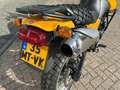 Triumph Tiger 955i 955i//Keurig nette motor! Geel - thumbnail 9