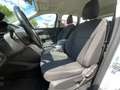 Ford Kuga Trend Weiß - thumbnail 9