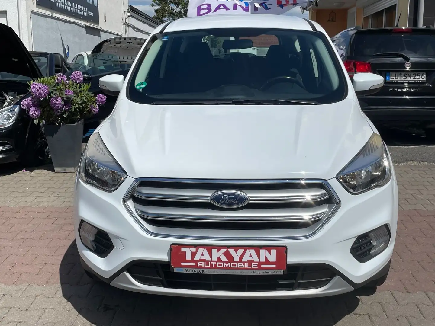Ford Kuga Trend Weiß - 2