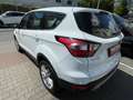 Ford Kuga Trend Weiß - thumbnail 4
