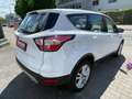 Ford Kuga Trend Weiß - thumbnail 6