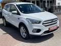 Ford Kuga Trend Weiß - thumbnail 3