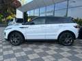 Land Rover Range Rover Evoque 2,0 TD4 SE DYNAMIC LEDER,PANO Blanc - thumbnail 3