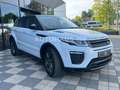 Land Rover Range Rover Evoque 2,0 TD4 SE DYNAMIC LEDER,PANO Blanc - thumbnail 8