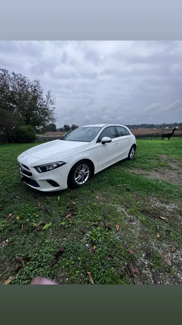 Mercedes-Benz A 180 Aut. Weiß - 2
