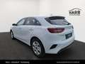 Kia Ceed / cee'd CEED/SILBER/UVO/1.0 TGDI/MT6/120 Weiß - thumbnail 6