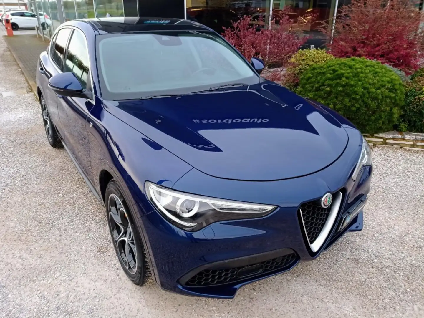 Alfa Romeo Stelvio 2.0 Turbo 280 CV AT8 Q4 Ti Blu/Azzurro - 2