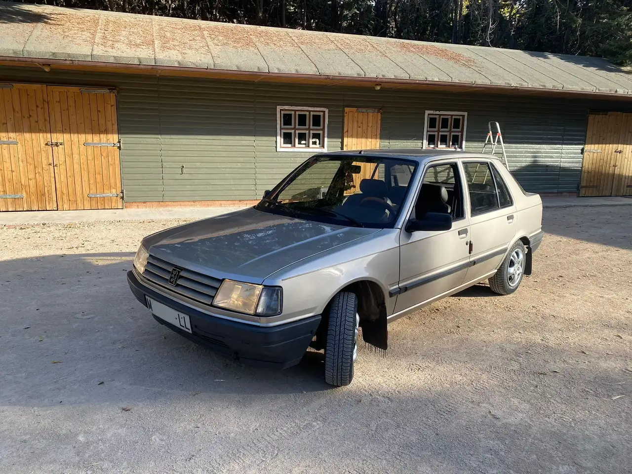Peugeot 309 1.9 GLD, foto 3