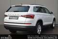 Skoda Kodiaq AMBITION/ RFK/PANO/SZH/AHK/TEMPO./CARPLAY White - thumbnail 6