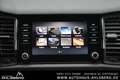 Skoda Kodiaq AMBITION/ RFK/PANO/SZH/AHK/TEMPO./CARPLAY White - thumbnail 24