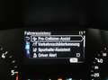 Ford Focus Traveller Navi Assistenzp beh.-Lenkrad/Wss Keyless Weiß - thumbnail 22