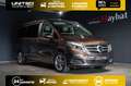 Mercedes-Benz V 250 d 4 MATIC Marco Polo Edition 4pl 190ch Brun - thumbnail 1