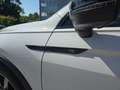 Volkswagen Tiguan **R-LINE, PANO, AHK, LED, FACELIFT, FINANZIERUNG** Weiß - thumbnail 27