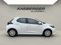 Mazda 2 Mazda2 Hybrid Agile/Comfort Aut. Weiß - thumbnail 3
