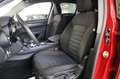 Alfa Romeo Stelvio 2.2 Turbodiesel 190 CV AT8 Q4 Business Rood - thumbnail 19