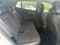 Kia Sportage 1.6 T-GDi MHEV Tech 160 - thumbnail 14